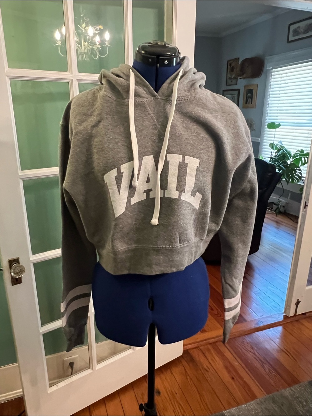 Vail Cropped hoodie with striped sleeves